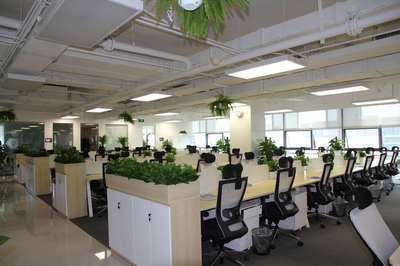 互聯網技術浪潮中的堅實基石 自考本科網絡工程專業深度解析與技術咨詢